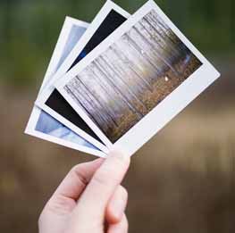 Pedro Enguidanos. JR